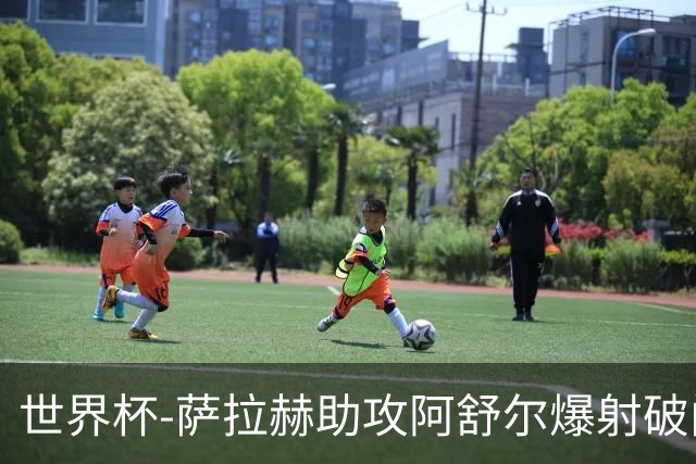 世界杯-萨拉赫助攻阿舒尔爆射破门 埃及半场1-0比利时